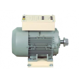 3-fasen A-synchrone kooianker motor
