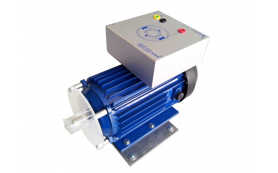 A4234S Universeel motor, 24 V, 200 W