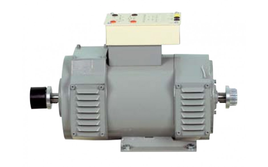 Shunt / Gescheiden DC motor