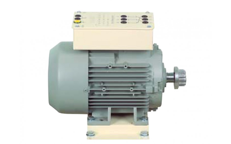 3-fasen A-synchrone kooianker motor