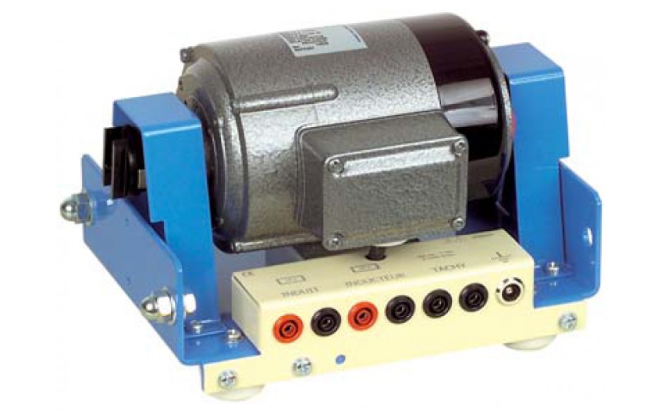 DC Shuntmotor, Gescheiden wikkeling