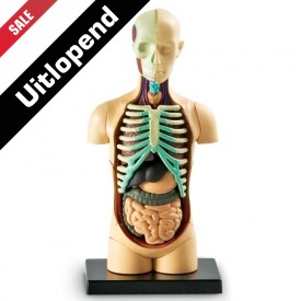 Anatomiemodel "Menselijk lichaam"