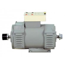 Shunt / Gescheiden DC motor