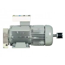 3-fasen A-synchrone sleepring motor