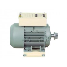 3-fasen A-synchrone kooianker motor