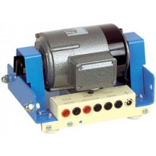 DC Shuntmotor, Gescheiden wikkeling